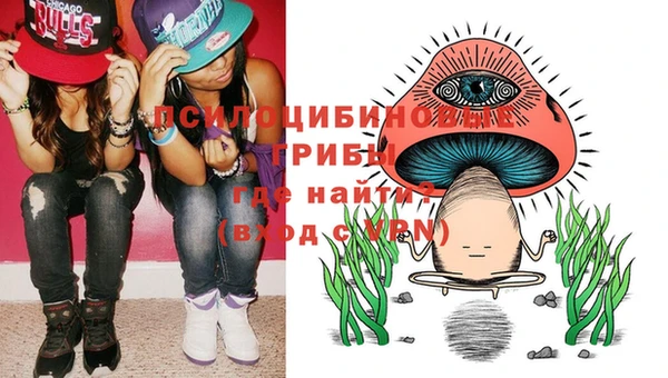 дмт Алзамай