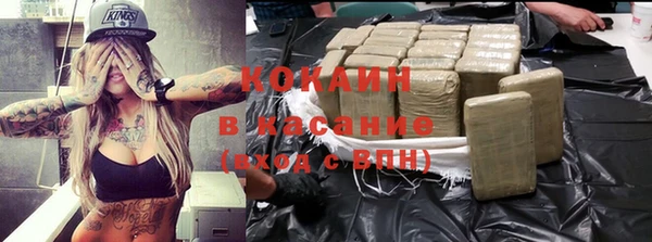 дмт Алзамай