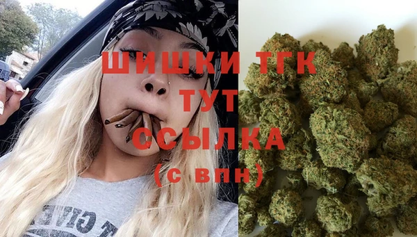 дмт Алзамай